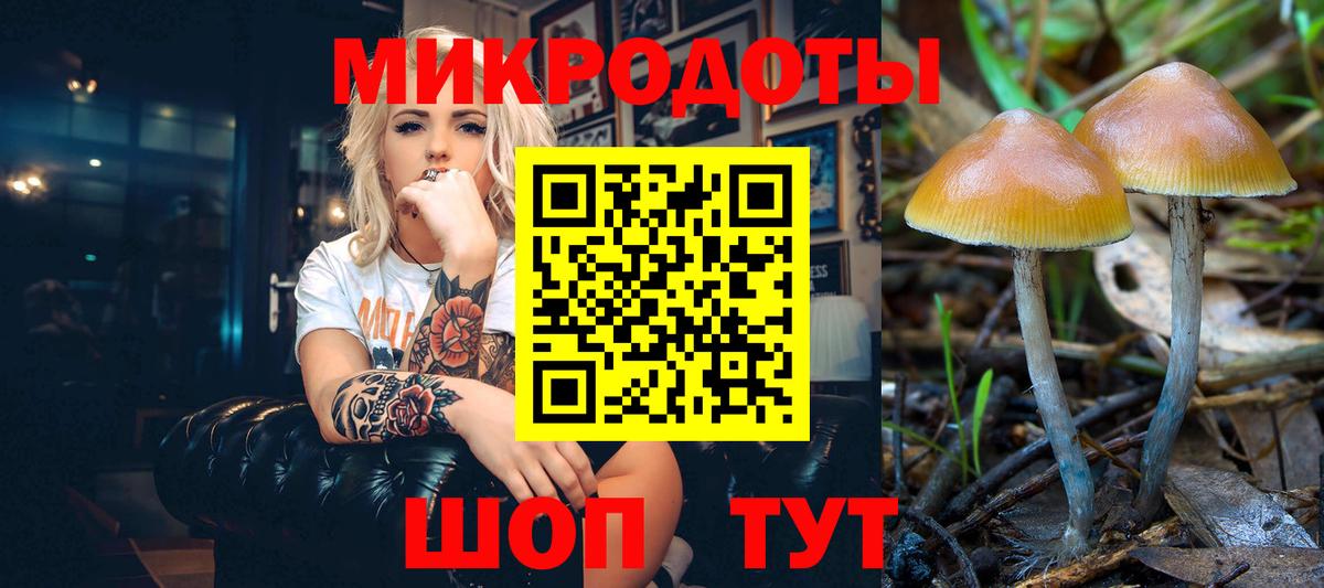 Псилоцибиновые грибы мицелий Алушта