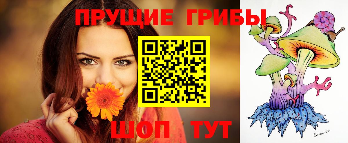 Алушта  Псилоцибиновые грибы Cubensis  купить закладку  Вход с VPN 